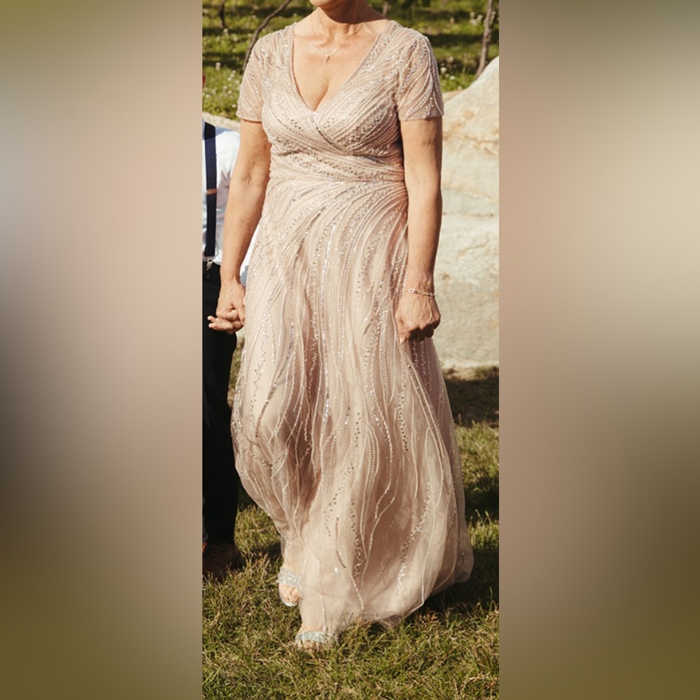 Mother of The Bride/ Any special occasion Pizzaro Nights Dress!